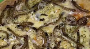 Mulher viraliza ao fazer pizza com insetos ricos em proteína: 'Bicho muito gostoso'