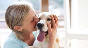 Como um cão de suporte emocional ajuda alguém? Especialistas explicam