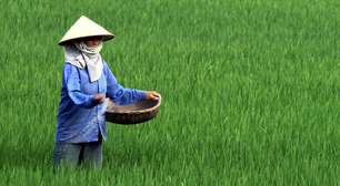 A falta de arroz fez o Japão recorrer à Coreia do Sul em desespero; mesmo assim, a emergência nacional não foi resolvida