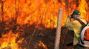 Incêndios causaram perda mundial recorde de florestas em 2024
