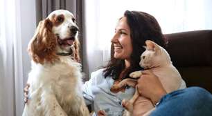 12 dicas para o seu animal ter uma vida saudável e feliz