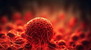 Car-T Cell é esperança para pacientes com mieloma múltiplo