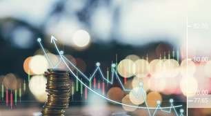Dividendos do SNEL11 vão render 1,15%; veja o valor pago nesta sexta (23)