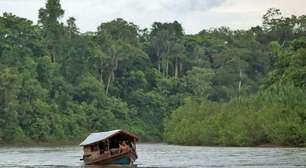 Indígenas da Amazônia processam New York Times por insinuar vício da aldeia em pornografia