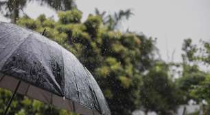 Defesa Civil alerta para temporais e frio de até 3ºC em São Paulo a partir de segunda