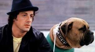"Tive que vender meu cachorro para comprar comida": Antes de Rocky, Sylvester Stallone passou por perrengues no início de carreira