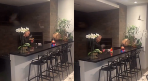 Alimentar morcegos como Xuxa fez não oferece grandes perigos, mas não deve ser estimulado