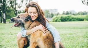 6 dicas de como agir ao resgatar um animal abandonado