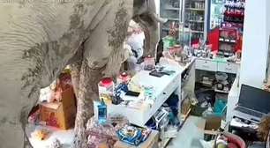 Elefante invade loja de conveniência na Tailândia, come doces e surpreende comerciantes