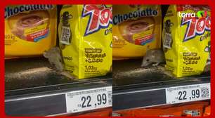 Mulher flagra rato comendo achocolatado dentro de supermercado no litoral de SP: 'Absurdo'