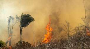 Por que Conferência do Clima na Alemanha é tão importante para a COP em Belém