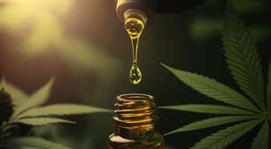 Cannabis Medicinal no SUS? Câmara de Porto Alegre debate ampliação do acesso