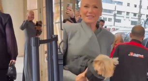 Cachorro de Xuxa vai em desfile de moda e web dispara: 'Mais rico que nós'