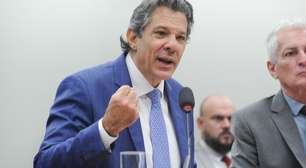 Haddad provoca Nikolas Ferreira após deputado fazer pergunta e abandonar sessão: 'Molecagem'
