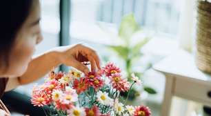 Com Rosas e Desafios, Dia dos Namorados Aquece Mercado de Flores no Inverno