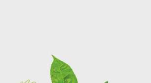 Ritual do maracujá para atrair casamento