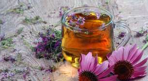 5 chás para ajudar a prevenir doenças no inverno
