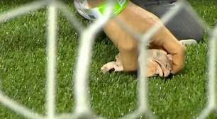 Palmeiras é punido por incidentes no clássico contra o Corinthians