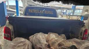 Operação apreende 100 kg de carne irregular em Santo Ângelo