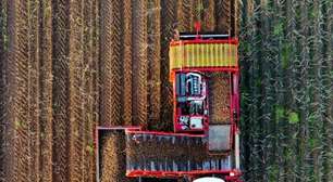 Exportações e dólar forte impulsionam agronegócio, aponta BB
