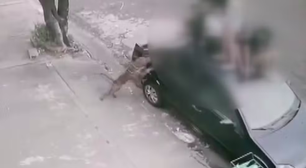 Vídeo: Crianças e adolescentes sobem no teto de carro para fugir de cão violento