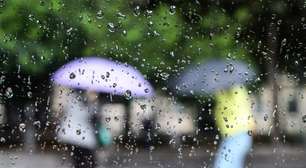 Cientistas analisaram por 2 anos a água da chuva de SP e se surpreenderam com o que encontraram
