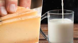 Nem todos os laticínios afetam a microbiota da mesma forma: estudo confirma diferenças entre consumir leite e comer queijo