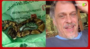 Guilherme Fontes, de "A Viagem", é picado por jararaca