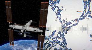 Problema não é o fato de termos encontrado bactérias em uma estação espacial; a questão é que se trata de uma nova espécie