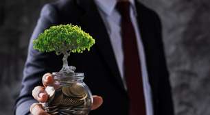XPCA11: Fiagro anuncia maior resultado em 8 meses e paga dividendos de R$ 0,11 por cota