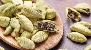 O tempero mais esquecido é um dos mais poderosos: conheça os benefícios do cardamomo