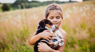 7 raças de cachorros dóceis que são perfeitas para crianças