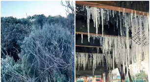 Santa Catarina tem geada e registra -8ºC, menor temperatura do ano; veja vídeo