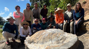 Fóssil de tartaruga gigante extinta há 13 milhões de anos é encontrado no Acre