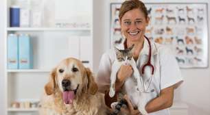 7 doenças renais comuns em animais de estimação