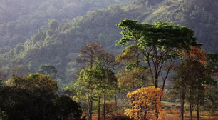 Áreas mais importantes para a biodiversidade da Amazônia são as que recebem menos investimento em gestão