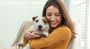 Veja como identificar a alergia a animais de estimação