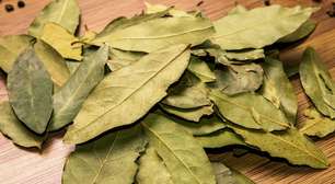 Simpatia da folha de louro com canela para chamar dinheiro