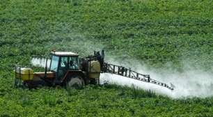 Parlamento francês aprova uso de pesticida banido e suscita críticas