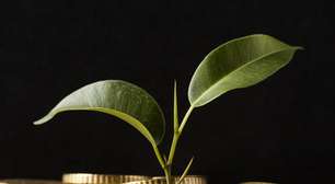 Créditos de carbono poderão quitar impostos no agronegócio