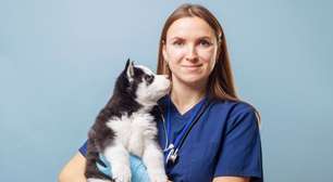 8 doenças comuns em filhotes de cachorro e gato