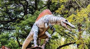 'Parque dos Dinossauros' brasileiro recebe certificado da ONU de turismo sustentável