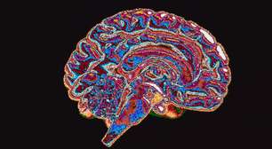 Os seres humanos são corruptos por natureza? O que diz a neurociência