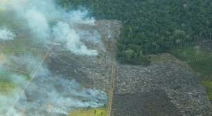 Desmatamento na Amazônia cresce no 1º semestre