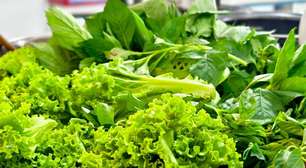 7 benefícios das folhas verdes para a saúde