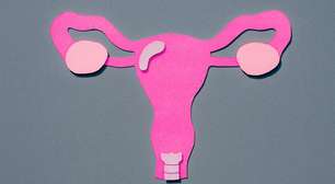 A surpreendente mobilidade do útero e por que ela é fundamental para o sistema reprodutor feminino