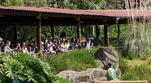 Como melhor aproveitar o Animália Park, um passeio que une parque de diversão e zoo em São Paulo?