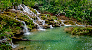 Com paisagens paradisíacas, Bonito é o destino perfeito para fazer ecoturismo