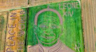 Artista cria retrato gigante de Papa em plantação na Itália