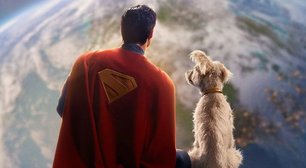 Herói de quatro patas: pet do Superman causa boom nas buscas por adoção de cachorro após estreia do filme
